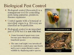 Today, i will list out the best natural ways for your plant pest control and they are really very easy and 100 percent organic pest control. Pest Management Classes Functions Methods Pests 100 Species