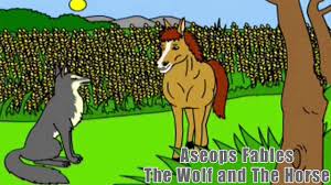 A Wolf Met A Horse Coming Out Of A Field Of Oats Wolf Advised Horse To Eat The Fine Oats Horse Was On To The Wolf As Oats Are Not Aesops