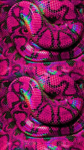 Pink walls baby pink aesthetic iphone wallpaper tumblr aesthetic pink aesthetic pink wallpaper picture collage wall pink photo pink bling chanel aesthetic vintage. Hot Pink Aesthetic Wallpapers Wallpaper Cave