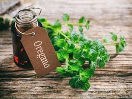 Oregano grows well with all vegetables and herbs. Here S All You Need To Know About Oregano Oil And Its Amazing Health Benefits The Times Of India
