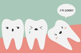 The technology they use are absolutely the newest and great experience overall petrie, south africa, 05 08 20. Why Do Humans Have Wisdom Teeth That Need To Be Removed Discover Magazine