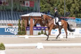 Tiggy was an extraordinarily talented young rider who was so inspired and respected by many members. Ngdaskebmzrjfm