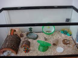 Berilah ventilasi yang cukup dan jangan terlalu besar. Tips Membuat Kandang Hamster Handmade Kaskus