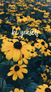 Be Yourself Walpaper Sunflower Iphone Wallpaper Sunflower Wallpaper Flower Phone Wallpaper