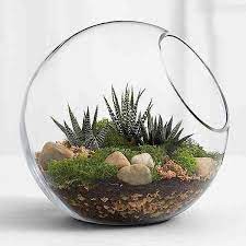 Preciosos relojes con estampados de cactus, en tonos pastel, para combinar con todo. Todo Sobre Terrarios De Cactus Cactus Y Suculentas