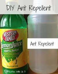 But it will help to eliminate them forever. Diy Ant Spray Ant Repellent Coffee With Us 3