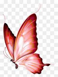 Kitchen utensils colored clipart butterflies translucent. Dieren Painting Gold Butterfly Png Free Transparent Png Clipart Images Download