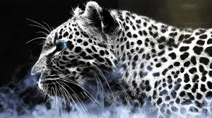 Leopard Hd Images Binatang