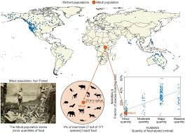 Radius km 100 m 200 m 300 m 400 m 500 m 1 km 2 km 3 km 4 km 5 km 6 km 7 km 8 km 9 km 10 km 15 km 20 km 25 km note: Local Convergence Of Behavior Across Species Science