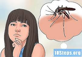 Bila tak ditangani secara cepat. Cara Mengelakkan Denggi 11 Langkah Dengan Gambar Tips 2021