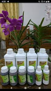 Campurkan molussa 2 tutup botol ke dalam 1 gallon baja cecair organik untuk disembur kepada tanaman anda. Baja Cecair Organik Subur Home Facebook