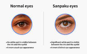 Sanpaku Eyes: a Guide to the Japanese Superstition | T Singapore Blog