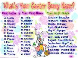 What Is A Good Name For A Girl Bunny Csi Sigegov Org