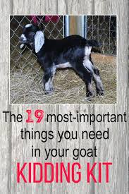 19 Things To Include In Your Goat Kidding Kit Goat Kidding Goat Kidding Kit Goats