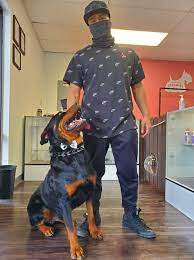 Check spelling or type a new query. Puppy Love Grooming Facebook
