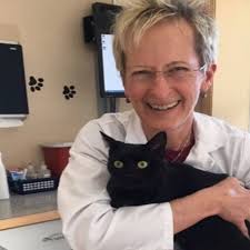 The Pet Fund (@thepetfund) • Instagram photos and videos