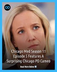Crossovers may be common in Dick Wolf's "Chicago" franchise, but "Chicago  Med" pulled off an unannounced, surprise cameo from a major "Chicago P.D."  character.