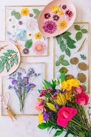 Maybe you would like to learn more about one of these? How To Press Flowers In The Microwave Studio Diy