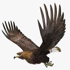 Golden Eagle 3d Model Ad Golden Eagle Model 3d Model Golden Eagle Pop Art Design