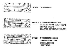 Fapc 146 Fundamental Aspects Of Kiln Drying Lumber Osu