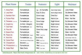 Houseplant Care Chart Google Search Indoor Plants House