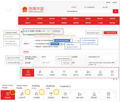 The central credit register (ccr) collects information from lenders on credit applications and credit agreements of €500 or more. Corporate Social Credit System In China How To Check Your Status Leaf