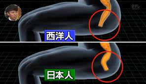 ゲイ必見】日本人の大腸と肛門は欧米人とは違っていた件 Japanese 