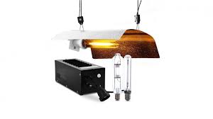 Is the hps grow light good for plants? Buy Green Fingers 250w Hps Mh Grow Light Kit Harvey Norman Au