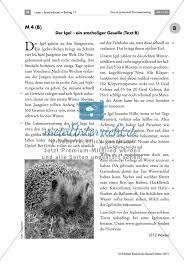 Zu beginn eine liste der verfügbaren artikel mit links. News For All Sachtext Tiere Klasse 6 Ideenreise Das Gurteltier Tier Des Monats Juni Sachtext Tiere Klasse 6 Sachtexte Klassenarbeit Die Wikinger Mit Differenzierung Und Losungen Unterrichtsmaterial Im Fach