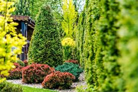 From our garden to yours, we share ideas from around the world for designing gardens big and small. Garden Design How To Diy Garden Design For Beginners