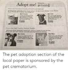 Ratings, reviews and photos from the local customers and articles about gainesville pet rescue. Sponsored By Adopt Me North Georgia Pet Cremations 770 540 2078 From The Humane Society Of Northeast Georgia 845 Ridge Road Gainesville Hours 10 Am To 5 Pm Monday Through Saturday 1 5 Pm Sunday