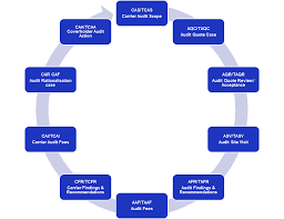 نتیجه جستجوی لغت [audits] در گوگل