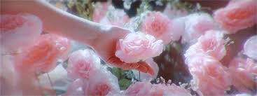 Always Look On The Bright Side Of Life Gif Https Encrypted Tbn0 Gstatic Com Images Q Tbn 3aand9gcq5v5fzgifldu Nbtwh1n48out 2ojajkqj5w Usqp Cau