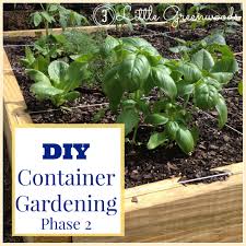 A standard vegetable garden box is 4 ft (1.2 m) by 8 ft (2.4 m), but work with the space you have. Diy Container Garden Planning And Planting