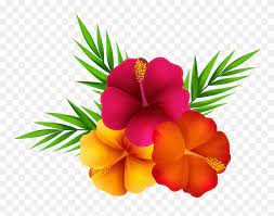 See tropical flower clipart stock video clips. Clipart Flower Images Png Transparent Background Tropical Flower Clipart 5381843 Pinclipart