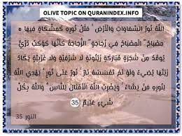 search olive topic in quran surahs verses and islam quran index search in 2020 quran text quran verses verses
