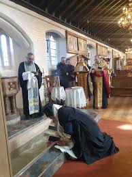 Image result for Baptorhachis