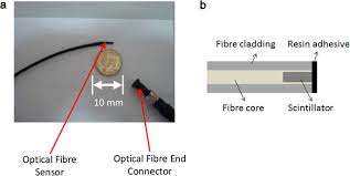 Figure 1 provides an example from the analysis of cannabinoids by spectral absorbance profile which can be utilized as a second form of. Advances On Inorganic Scintillator Based Optic Fiber Dosimeters Ejnmmi Physics Full Text