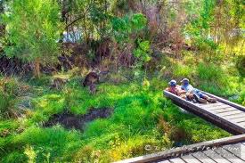 Retro Rewind At Yanchep National Park National Parks Photo Tour Photo