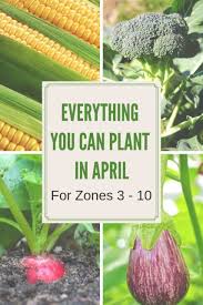 Everything You Can Plant In April For Zone 3 10 In Your Vegetable Garden Plan For Your Spring Gard Vegetable Garden Planning Growing Vegetables Garden Types