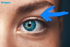 Tafsir kedutan ekor mata kiri atas menurut primbon adalah lambang perjumpaan. Arti Kedutan Mata Kiri Atas Akan Datang Rejeki Nomplok Primbon88 Com