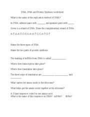 Quizzes › health › dna › dna and protein synthesis. Dna Rna Protein Answer Sheet Dna Rna And Protein Synthesis Worksheet What Is The Name Of The Replication Method Of Dna Semiconservative Replication In Course Hero