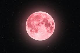 Full moons occur roughly once this month, the moon will turn full at 11:33 p.m. The Emotional Meaning Of The April 2021 Full Super Pink Moon Is About Resilience