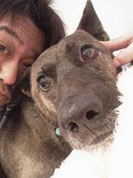 Sep 15, 2020 · 坂上忍の愛犬サンタの現在は？散歩中の脱走事件や見つかった経緯とは？ブログで誕生祝い報告も！坂上忍の愛犬サンタの生い立ちや現在、ブログ誕生祝いや散歩中の脱走事件～見つかったときの経緯までまとめてみました！ å‚ä¸Šå¿ ã¨ã¦ã‚‚å¤§ãã„ æ„›çŠ¬ ã‚µãƒ³ã‚¿ã®å­˜åœ¨ã«ã¤ã„ã¦èªžã‚‹ ãƒ'ãƒ' é 'å¼µã‚‹ã‹ã‚‰ã­ Abema Times
