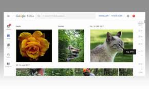 Mit den vorhandenen funktionen lassen sich vorgegebenen effekte anwenden sowie helligkeit, kontrast und farbe ändern. Fotos Verwalten Mit Google Fotos 10 Praktische Tipps Pc Magazin