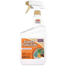 Scotts plant & tree food. Bonide Garden Center Outdoors The Home Depot