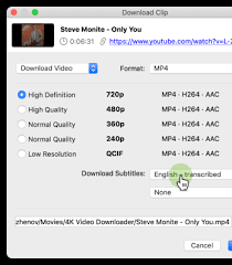 Select mp4 as the format and a location to download the file onto your computer. Youtube Zu Mp4 Converter