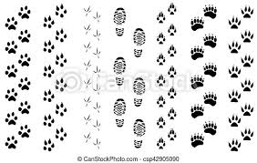 Finde und downloade kostenlose grafiken für tierspuren. Tierspuren Vector Illustration Animal And Bird Fussspuren Spuren Icon Set Lege Fussabdrucke Wilde Tiere Illustration Von Canstock