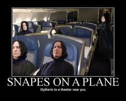 _harry potter_ is one of the most popular series of books and movies out there, so here are some of our favorite memes it's inspired now that the full harry potter has been a worldwide favorite for over two decades now. 14 Snape Memes Only True Harry Potter Fans Will Appreciate