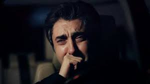 Polat Alemdar Panosundaki Pin